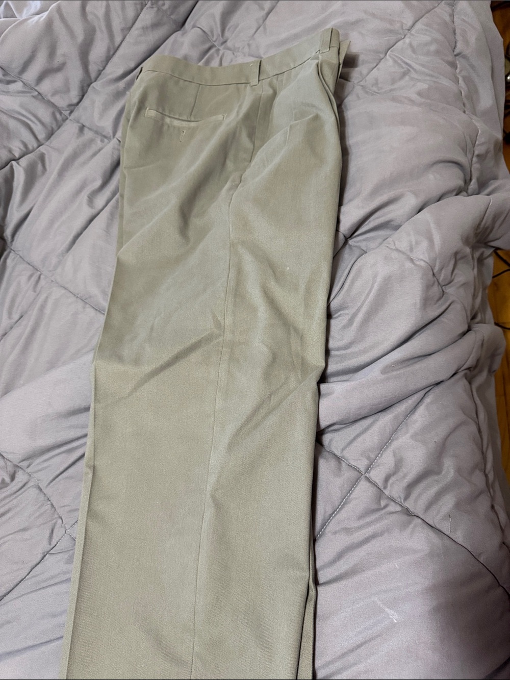 Haggar Men's Chinos in Olive Tan